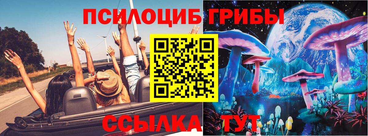 Псилоцибиновые грибы Magic Shrooms Реж