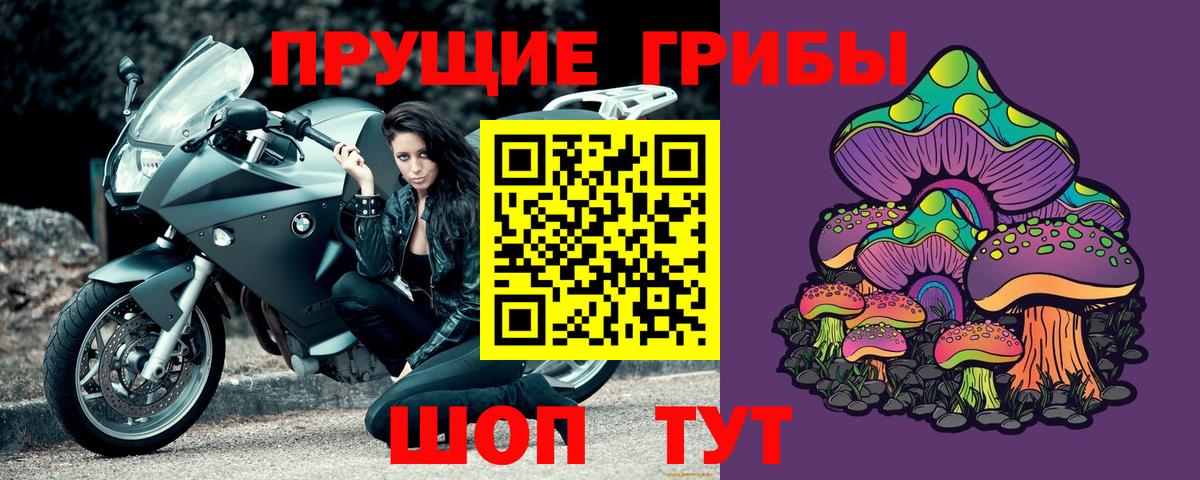 Реж  Псилоцибиновые грибы прущие грибы  Вход с VPN  Псилоцибиновые грибы GOLDEN TEACHER 